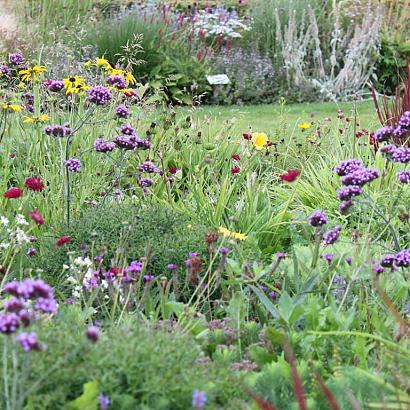 Opal Prairie Garden