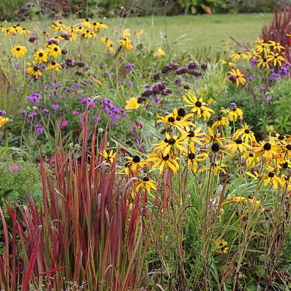 Opal Prairie Garden