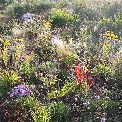 Opal Prairie Garden