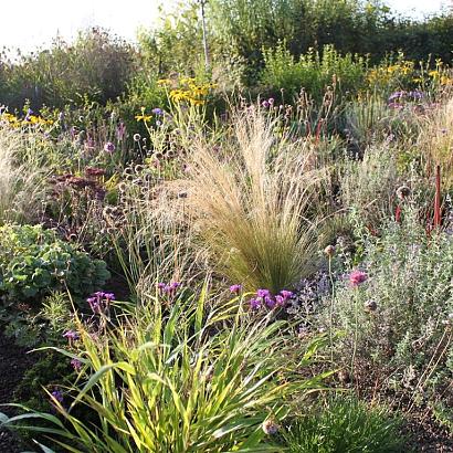 Opal Prairie Garden