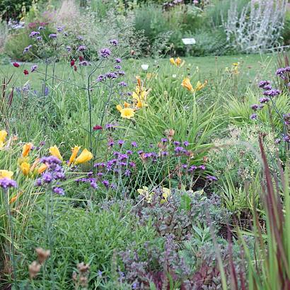 Opal Prairie Garden