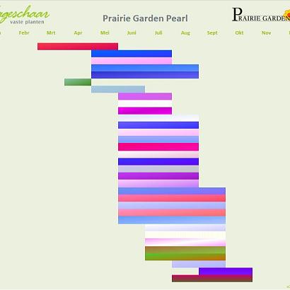 Pearl Prairie Garden