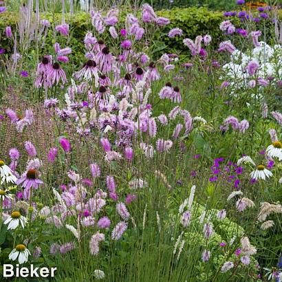 Quartz Prairie Garden