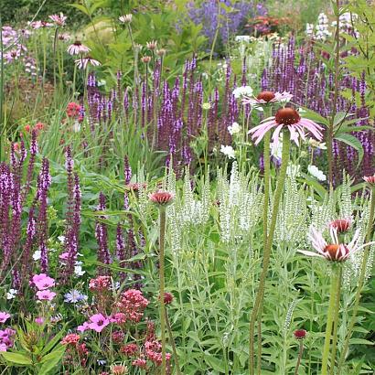 Quartz Prairie Garden