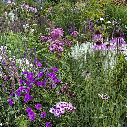 Quartz Prairie Garden