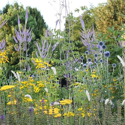 Sapphire Prairie Garden