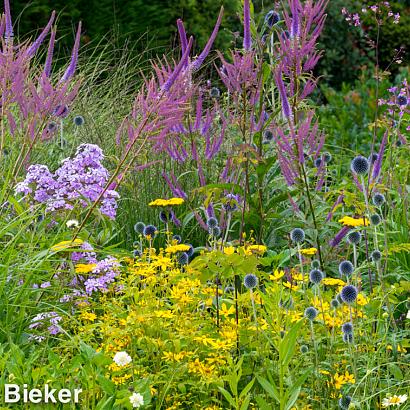 Sapphire Prairie Garden