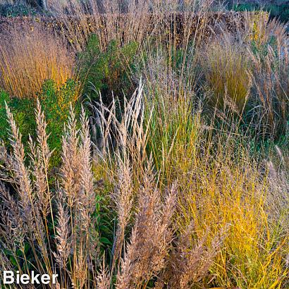 Silver Prairie Garden