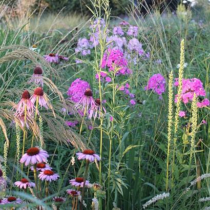 Silver Prairie Garden