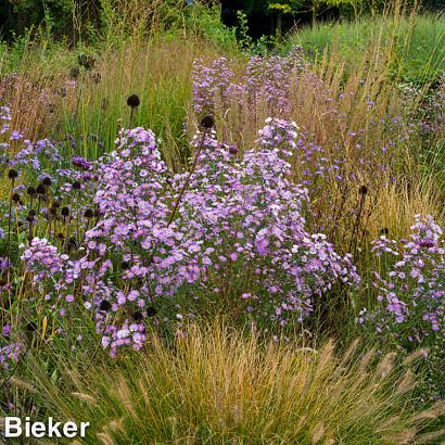 Silver Prairie Garden