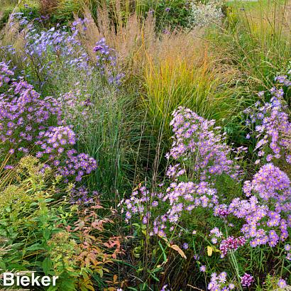 Silver Prairie Garden