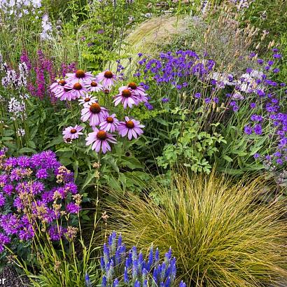 Spinel Prairie Garden