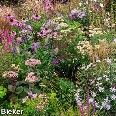 Spinel Prairie Garden