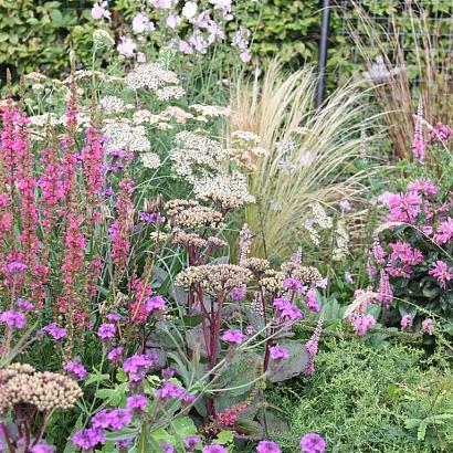 Spinel Prairie Garden