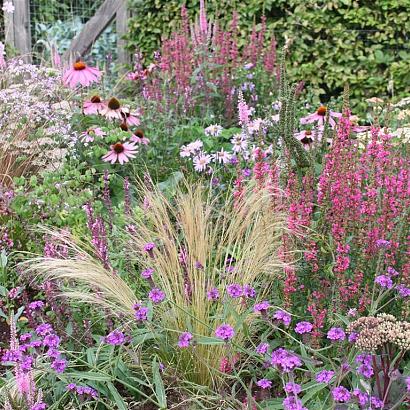 Spinel Prairie Garden