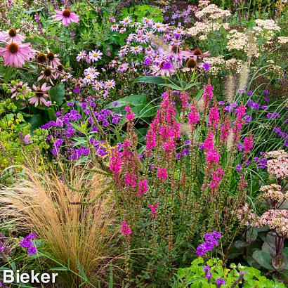 Spinel Prairie Garden