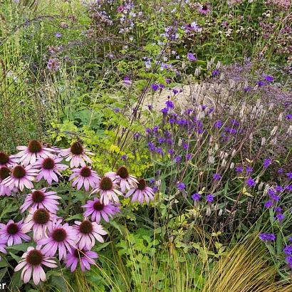 Spinel Prairie Garden