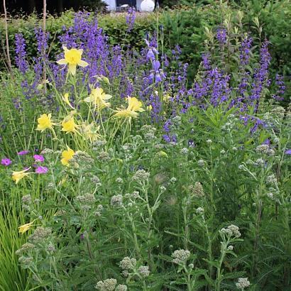 Steel Prairie Garden