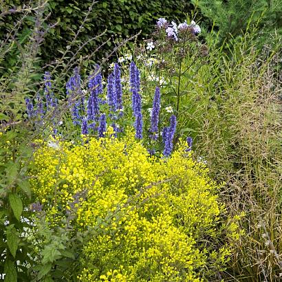 Steel Prairie Garden