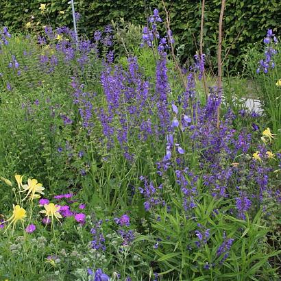 Steel Prairie Garden