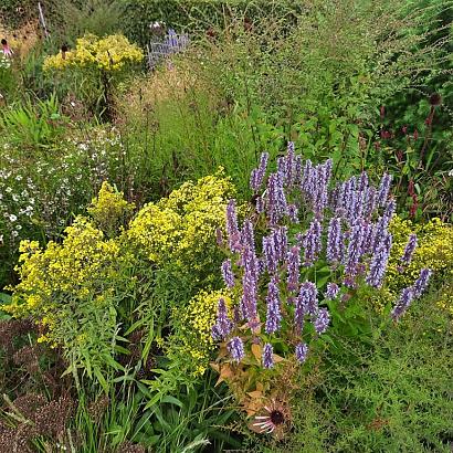 Steel Prairie Garden