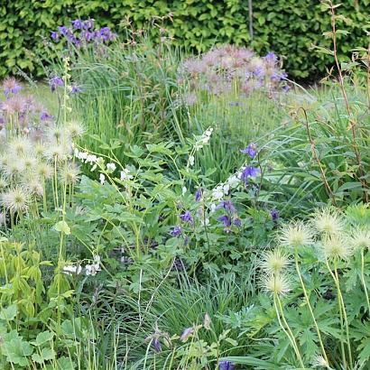 Steel Prairie Garden