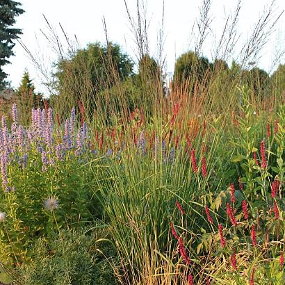 Steel Prairie Garden