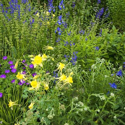 Steel Prairie Garden