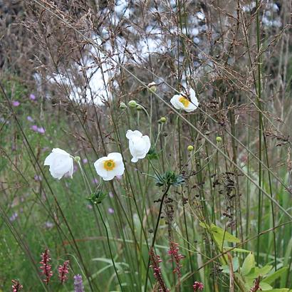 Steel Prairie Garden