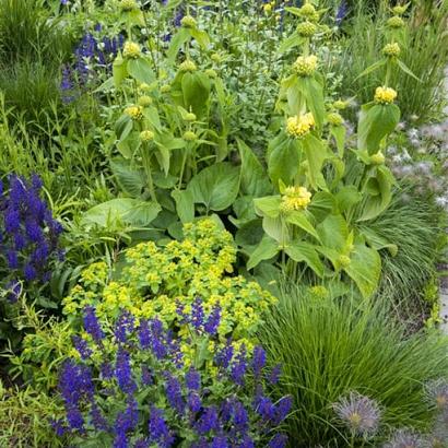 Sulfur Prairie Garden