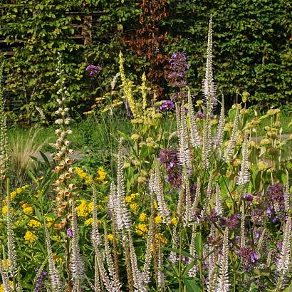 Sulfur Prairie Garden