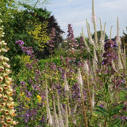 Sulfur Prairie Garden