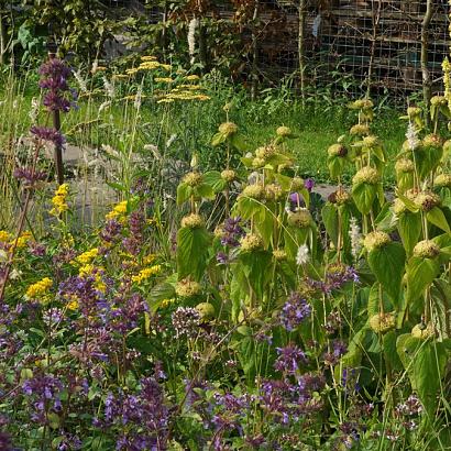 Sulfur Prairie Garden