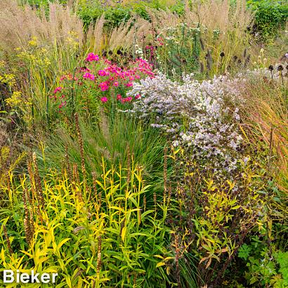 Topaz Prairie Garden