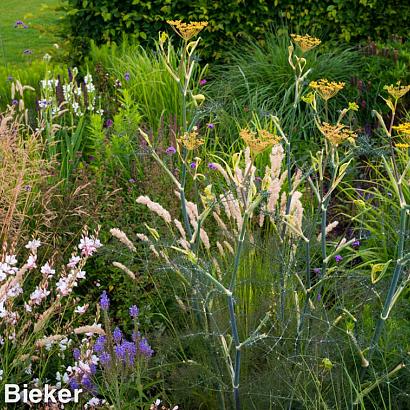 Topaz Prairie Garden