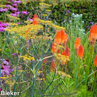 Topaz Prairie Garden