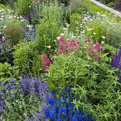 Topaz Prairie Garden