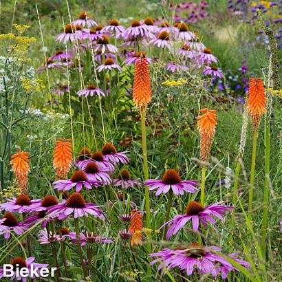 Topaz Prairie Garden