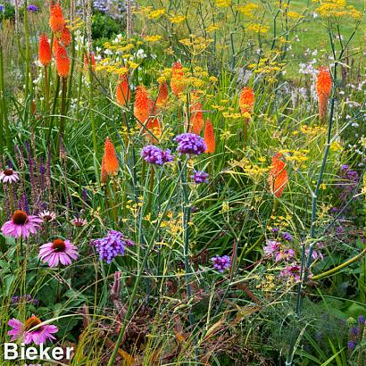 Topaz Prairie Garden