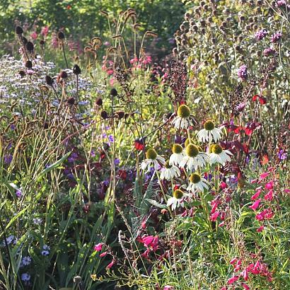 Tourmaline Prairie Garden