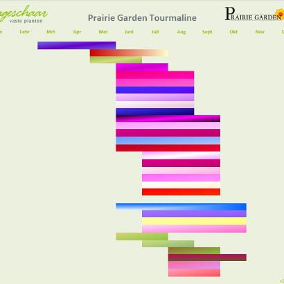 Tourmaline Prairie Garden