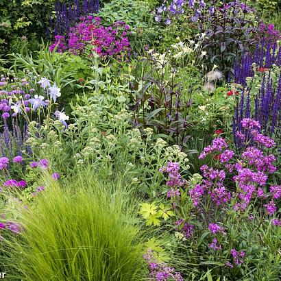 Tourmaline Prairie Garden