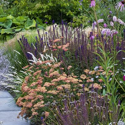 Tourmaline Prairie Garden