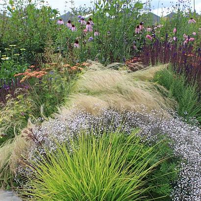 Tourmaline Prairie Garden