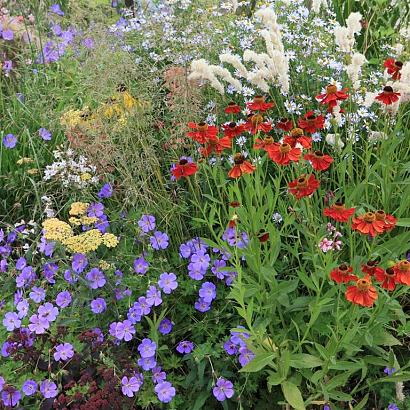 Tourmaline Prairie Garden