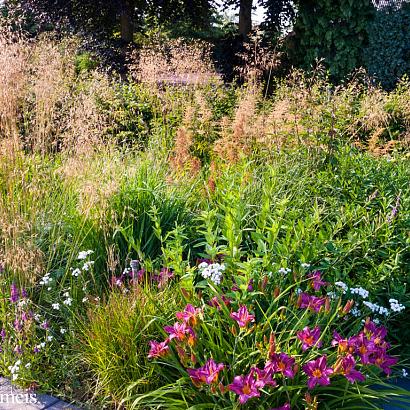 Turquoise Prairie Garden