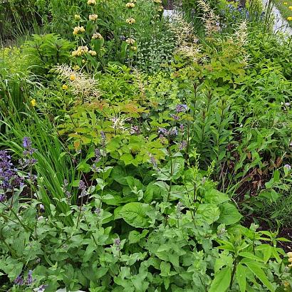 Turquoise Prairie Garden