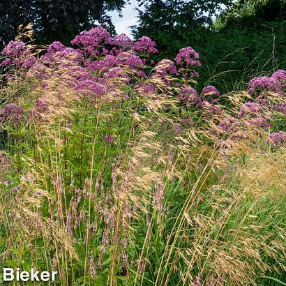 Turquoise Prairie Garden