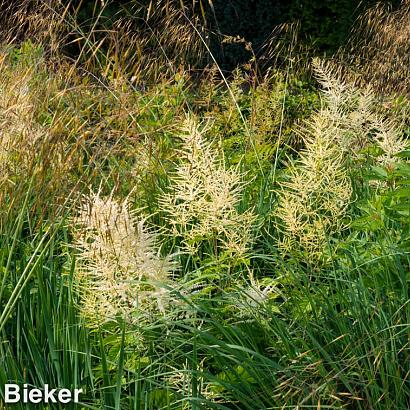 Turquoise Prairie Garden