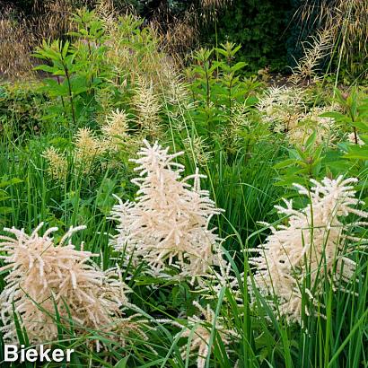 Turquoise Prairie Garden